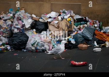 Edinburgh Schottland, Großbritannien 30. August 2022. Die Müllabfertigungen werden nach Streikaktionen der Arbeiter während des Edinburgh Festivals wieder aufgenommen. Credit sst/alamy live News Stockfoto