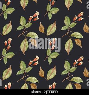 Herbst Aquarell-Muster mit Hagebutten auf schwarzem Hintergrund. Hagebutten und Zweige. Design für Cover, Textil, Schreibwaren Stockfoto