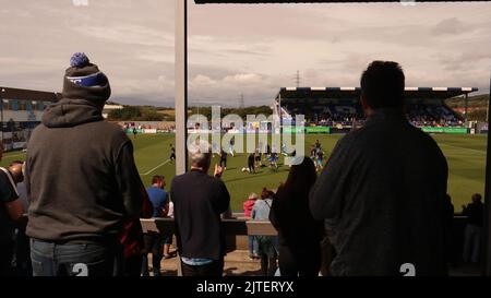 Fußballfans stehen auf Terrassen Stockfoto