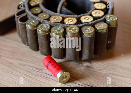 Patronengürtel mit 12 Gauge Schrotflintenmunition Stockfoto