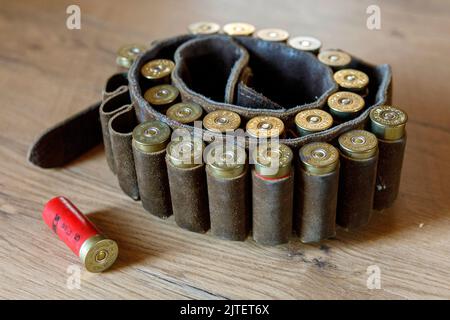 Patronengürtel mit 12 Gauge Schrotflintenmunition Stockfoto