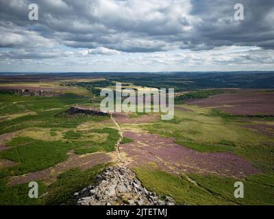 Wunderschöne Heidefelder im Peak District National Park Stockfoto