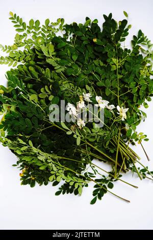 Frische, hausgemachte Moringa- oder Muringa-Blätter isoliert auf weißem Hintergrund, selektiver Fokus Stockfoto