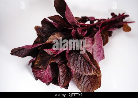 Frischer, selbstgewachsener roter Spinat, isoliert auf weißem, selektivem Fokus Stockfoto