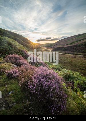 Forest of Bowland UK, Wetter Nachrichten. Dienstag, 30.. August 2022. Es ist ein schöner Start in den Tag im Forest of Bowland, mit der Prognose, dass es für die nächsten paar Tage gut und trocken sein wird Copyright Credit: gary telford/Alamy Live News Stockfoto