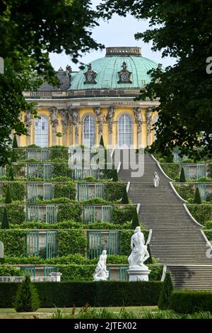 Potsdam, Deutschland. 09. August 2022. Am frühen Morgen geht eine Frau im Park Sanssouci die Stufen der Weinbergsterrassen hinauf zum Schloss Sanssouci. Quelle: Jens Kalaene/dpa/Alamy Live News Stockfoto