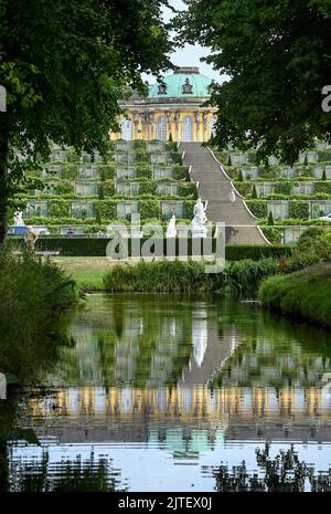 Potsdam, Deutschland. 09. August 2022. Am frühen Morgen geht eine Frau im Park Sanssouci die Stufen der Weinbergsterrassen hinauf zum Schloss Sanssouci. Quelle: Jens Kalaene/dpa/Alamy Live News Stockfoto