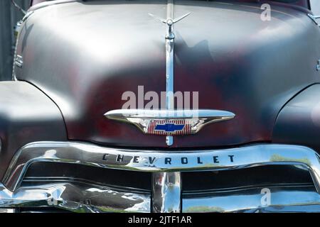 1954 Chevrolet 3100 Pickup Truck, Logo Stockfoto