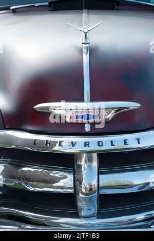 1954 Chevrolet 3100 Pickup Truck, Logo Stockfoto