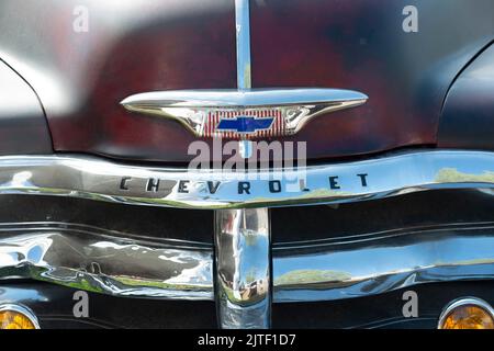1954 Chevrolet 3100 Pickup Truck, Logo Stockfoto