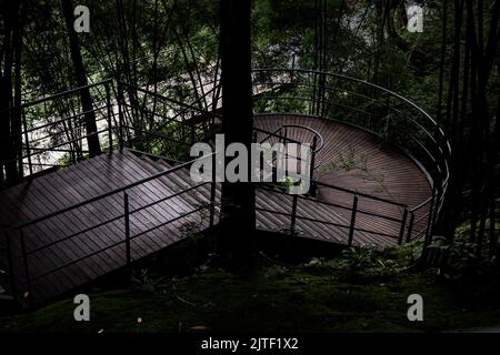 Hölzerne Wendeltreppe mit grünem Stahlgeländer und umliegenden grünen Bäumen im Bambuswald. Landschaftsansicht in der Natur, selektiver Fokus. Stockfoto