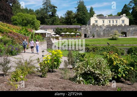 Aberglasney Gardens im Sommer August 2022 Llangathen Carmarthenshire Wales Großbritannien KATHY DEWITT Stockfoto