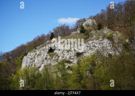 Donaudurchbruch von Kelheim zum Kloster Weltenburg mit Felsen und der Strömung der Donau Stockfoto