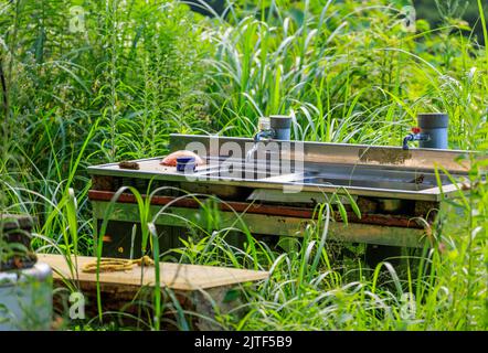 Doppelwaschbecken in überwucherter Außenküche Stockfoto