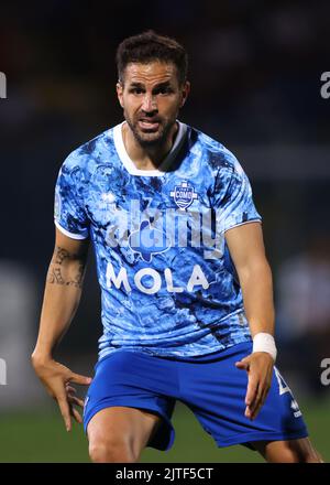 Como, Italien, 29.. August 2022. Cesc Fabregas von Como während des Spiels der Serie B im Stadio Giuseppe Sinigaglia, Como. Bildnachweis sollte lauten: Jonathan Moscrop / Sportimage Stockfoto