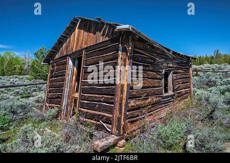 Langjährige Hütte, zusammenbrechende Hütte in Miners Delight aka Hamilton City Townsite, Wind River Range, Wyoming, USA Stockfoto