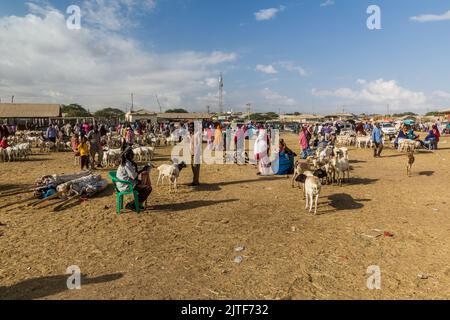 HARGEISA, SOMALILAND - 15. APRIL 2019: Blick auf den Viehmarkt in Hargeisa, der Hauptstadt von Somaliland Stockfoto