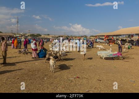 HARGEISA, SOMALILAND - 15. APRIL 2019: Blick auf den Ziegenmarkt in Hargeisa, der Hauptstadt von Somaliland Stockfoto