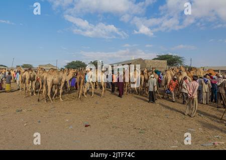 HARGEISA, SOMALILAND - 15. APRIL 2019: Blick auf den Kamelmarkt in Hargeisa, der Hauptstadt von Somaliland Stockfoto
