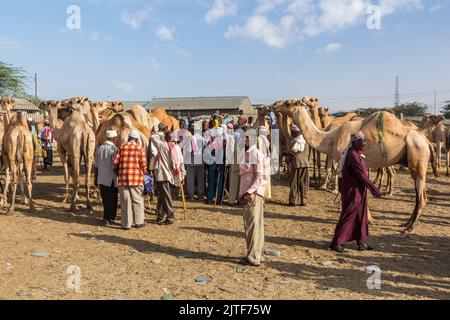 HARGEISA, SOMALILAND - 15. APRIL 2019: Blick auf den Kamelmarkt in Hargeisa, der Hauptstadt von Somaliland Stockfoto