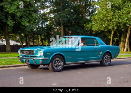 1966 Blue FORD MUSTANG 4700cc Petrol Pony Car; Autos, die auf der jährlichen Stanley Park Classic Car Show ankommen. Die Stanley Park Classics Yesteryear Motor Show wird von der Blackpool Vintage Vehicle Preservation Group, Großbritannien, veranstaltet. Stockfoto