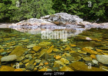 Klares Wasser mit Felsen sichtbar auf Flussbett im Wald mit bunten Felsen im Sommer Stockfoto
