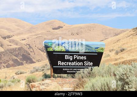 Yakima Canyon, WA, USA - 24. August 2022; Schild für Big Pines Recreation Site in den sanften Hügeln der Yakima Canyon Landschaft im Sommer Stockfoto