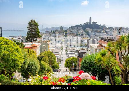 Ein Blick nach Osten auf die Lombard Street in San Francisco, Kalifornien, vom biegsamen Teil der Straße auf einen langen, geraden Abschnitt weiter unten. Stockfoto