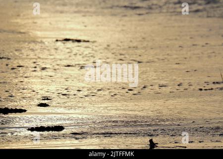 Sao Miguel dos Milagres Beach, Alagoas State, Brasilien - Sonnenaufgang am Pontal Beach Stockfoto
