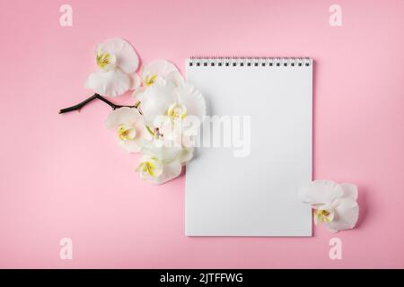 Kreativer Arbeitsbereich. Ein Blatt Papier und Orchideenblumen auf einem rosa Hintergrund. Stockfoto