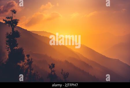 Leuchtend orangefarbener Sonnenuntergang über der nebligen Bergkette. Waldbaum-Silhuette. Atemberaubende wilde Natur bei Sonnenaufgang. Erstaunliche natürliche Sommerlandschaft. Kreatives Bild für Design Stockfoto