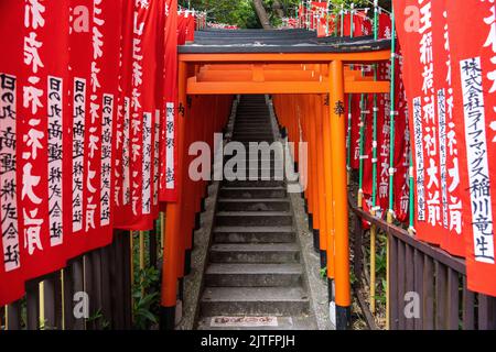 Ein lebhafter Tunnel aus roten Torii-Toren säumen die Steintreppen, die zum Hie Jinja-Schrein in Nagatacho, Chiyoda, Tokio, Japan, führen. Der schintoistische Schrein ist einer der drei großen Schreine Tokyos. Stockfoto