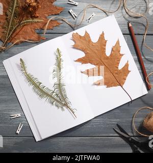 Getrocknetes gepresstes Blatt auf Papier aus Notizbuch mit Bleistift, Schere und Garn auf blauem Hintergrund. Hobby, handgemachte, florale Kunst und Boho Style Konzept Stockfoto