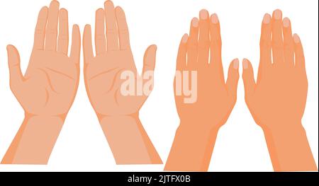 Eine Illustration des Vektorgrafiks der Hände vorne und hinten Stock Vektor