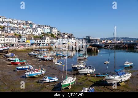 Brixham Hafen in Devon. Stockfoto