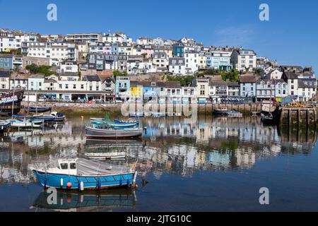 Brixham Hafen in Devon. Stockfoto