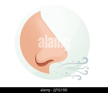 Menschliche Nase - riechen und atmen - Stockillustration als EPS 10 Datei Stock Vektor