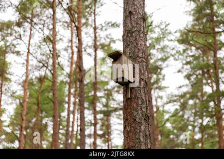 Vogelhaus aus Holz auf Kiefern im Nadelwald Stockfoto