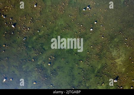 Hintergrund-Muster für Strand und Wasserlinie Stockfoto