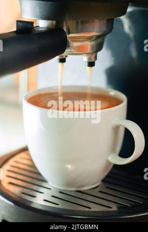 Glasbecher steht auf dem Gitter der schwarzen Kaffeemaschine und gießt Kaffee hinein. Prozess der Zubereitung von Kaffee. Stockfoto