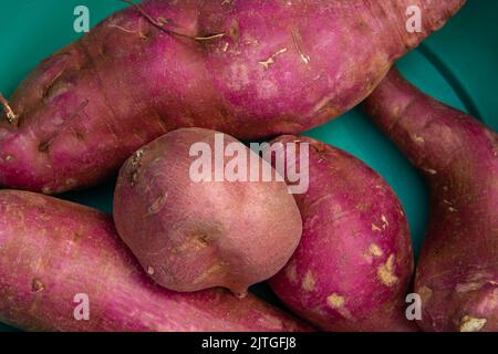 Goiânia, Goias, Brasilien – 30. August 2022: Einige Süßkartoffeln in einer grünen Schüssel. Stockfoto