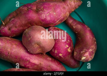 Goiânia, Goias, Brasilien – 30. August 2022: Einige Süßkartoffeln in einer grünen Schüssel. Stockfoto