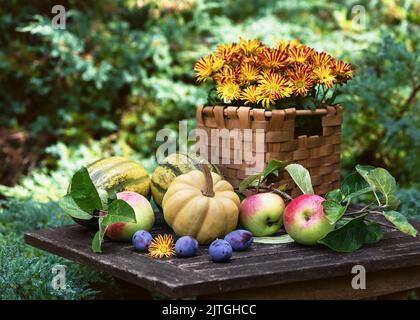 Stillleben mit Kürbissen, Blumen, frisch gepflückten Äpfeln und Pflaumen auf einem hölzernen Gartentisch. Gärtnern oder Erntekonzept. Stockfoto