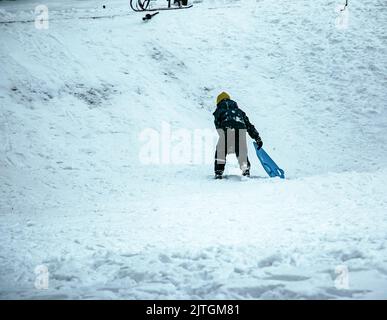 Kleiner Junge Rodeln im Winter bergab. Der Junge fällt in den Schnee. Spiele im Freien für Kinder. Kinderschlitten in einem verschneiten Park. Kindheit, Stockfoto