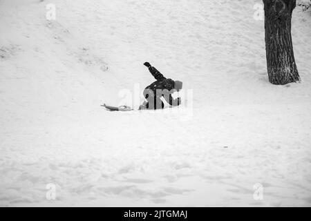 Kleiner Junge Rodeln im Winter bergab. Der Junge fällt in den Schnee. Spiele im Freien für Kinder. Kinderschlitten in einem verschneiten Park. Kindheit, Stockfoto