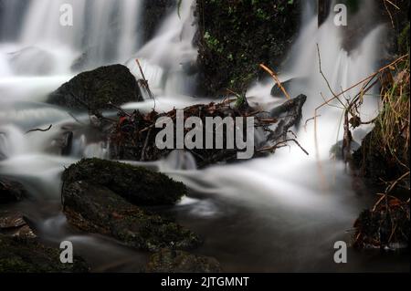 Nebenfluss der Afon Rhiwddolion. Stockfoto