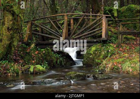 Nebenfluss der Afon Rhiwddolion. Stockfoto