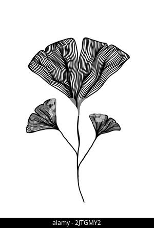 Eine schwarz-weiße Linie Kunst Silhouette Zeichnung von Ginkgo biloba Blätter für Hintergrund, Logo und andere Illustration braucht Stock Vektor