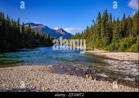 Der Cottonwood River, einem Nebenfluss des Dease RIver, entlang der Stewart-Cassiar Highway im Nordwesten von British Columbia Stockfoto