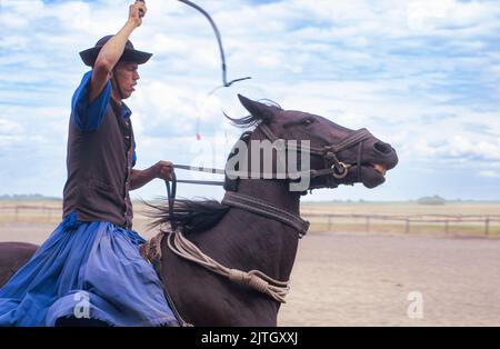 Die Magyar Cowboy-Performance auf einer Ranch in Ungarn zeigt ein Pferd, das gut ausgebildet, gehorsam und durch den Peitschenhieb diszipliniert ist. Alte Bräuche blieben am Leben. Stockfoto